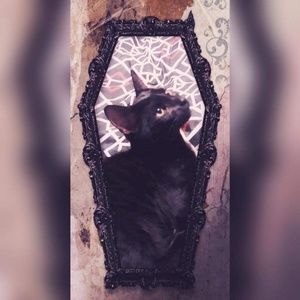 Meet your Posher, Kora-lynn